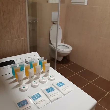 Apartament Kuca Badnjar *