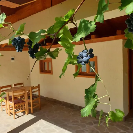 Kuca Badnjar Apartament Guča