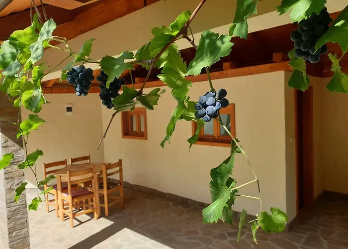 Kuca Badnjar 아파트 Guča